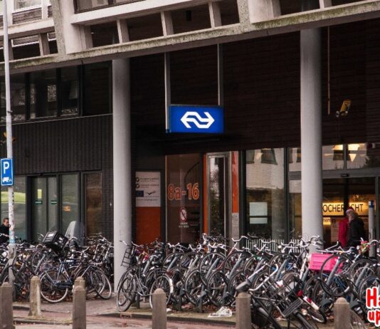 Hoe symmetrisch is de mens nou echt?