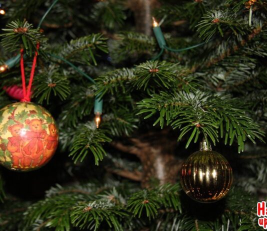 Meezingen met de Kerstsamenzang in het Zaanenpark