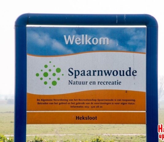 Schrikdraad moet grutto terugbrengen in de Oud-Spaarndammerpolder
