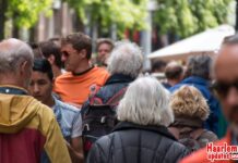 VanHier Haarlem is per 1 april Buurts