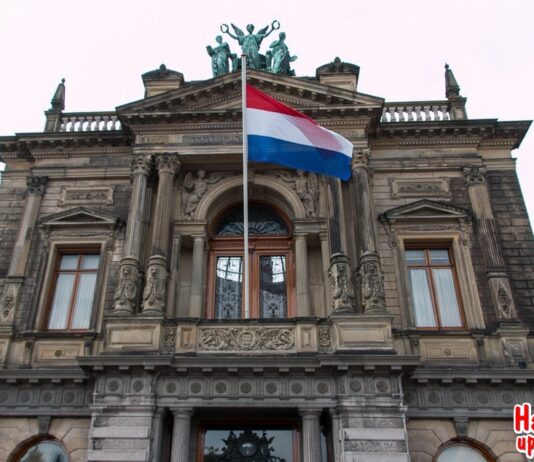 Leonardo da Vinci komt naar Teylers Museum