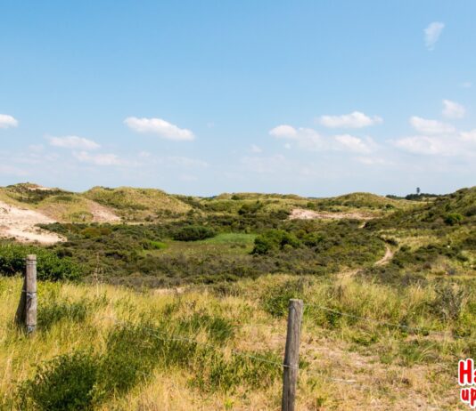 Trainees gezocht voor Het Groene Strand