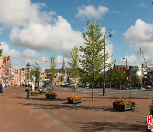 20 november is de Dag van de Biodynamische Psychologie