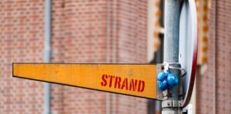 Proef met gratis bus naar kust in zomer 2026