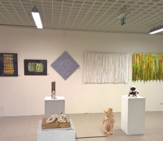 Ingezonden foto’s: Expositie in De Raakshalle