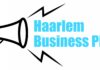 Woensdag 29 juni finale eerste Haarlem Business Pitch