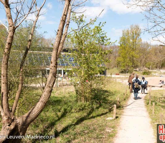 Proef de smaken uit de natuur met een kopje exclusieve Nationaal Park Zuid-Kennemerland kruidenthee