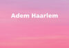 Tentoonstelling mooiste Adem Haarlem foto’s vanaf donderdag op stadhuis Winnende foto maart 2016, genomen door dhr. H.J. Sloos.