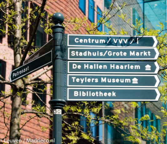 Speuren naar mini-meesterwerken: Kunstwandelroute KLEIN! tovert Haarlemse etalages om tot openluchtmuseum