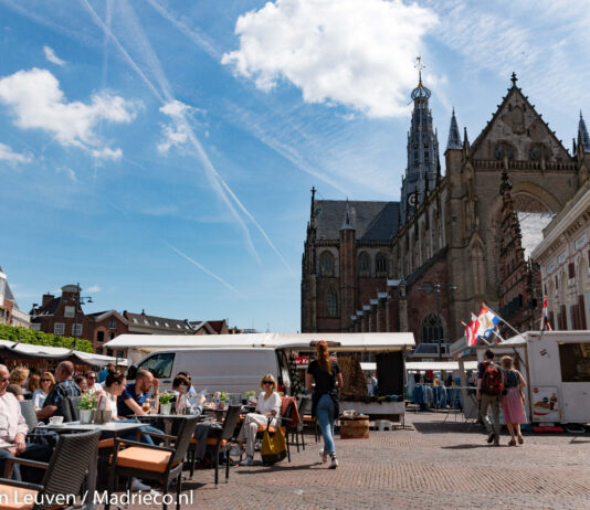 Citybook van Kristien Hemmerechts: Haarlem afgeharkt