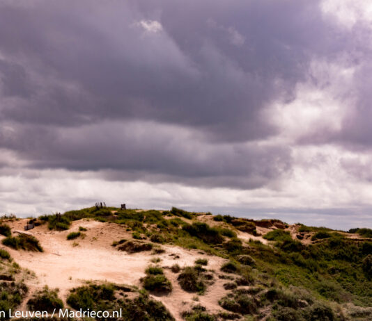 De onschatbare waarde van Nationaal Park Hollandse Duinen