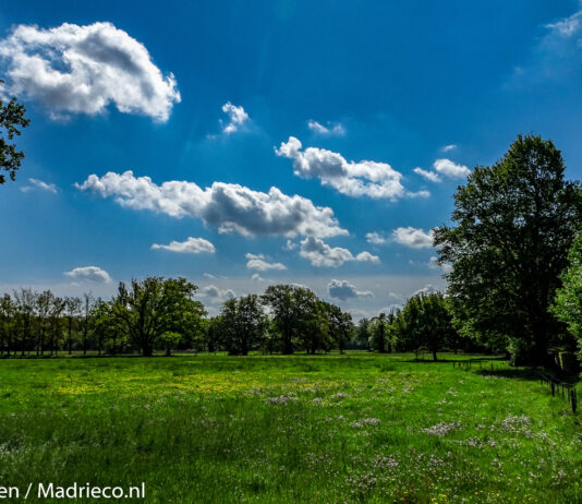 Vergoeding afkoop oude pacht in natuurnetwerk