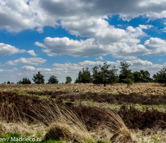 Provincies starten samenwerking rond verdienmodellen voor natuur