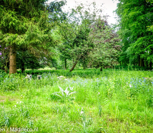 Focus op de stikstofgevoelige natuurgebieden voor natuurontwikkeling