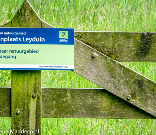 Hoor de roep van de bosuil op Buitenplaats Leyduin