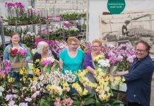 Noord-Hollandse Moeders verrast door duurzame orchideeënkweker Foto: Fotostudio Gerard-Jan Vlekke/LTO Glaskracht Nederland.
