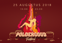 Nieuw in Haarlem: PolderGoud Festival: Muziek, Cultuur en Gekkigheid!