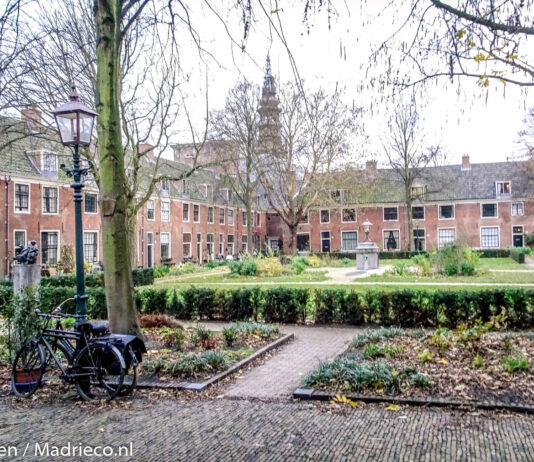 Adrés Barba schrijft verhaal over Haarlem