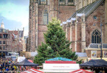 Kerstbomen brengen weer licht in de openbare ruimte