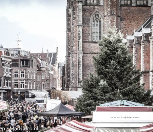 Kerstboom op de Grote Markt Haarlem