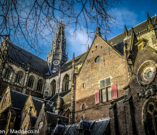 Uniek initiatief van de vier grote culturele instellingen: Nalaten aan cultuur in Haarlem