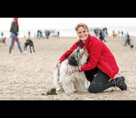 The Big Walk – Wandelen voor het goede doel