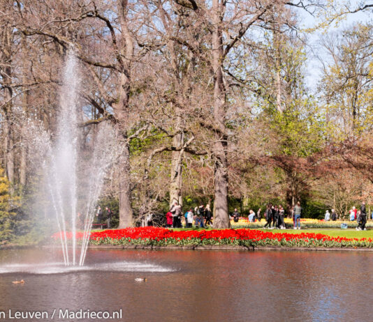 Keukenhof kijkt terug op een stralend seizoen