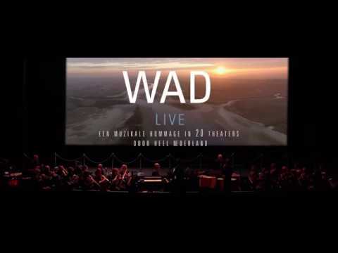 WADfilm live in Stadsschouwburg Haarlem met jarig Noordpool Orkest