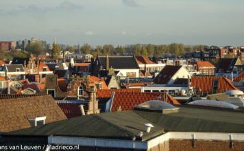 Maak jouw buurt leuker en groener: zo word je actief in een Haarlems wijkplatform