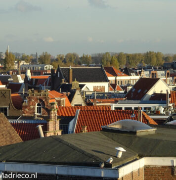 Maak jouw buurt leuker en groener: zo word je actief in een Haarlems wijkplatform