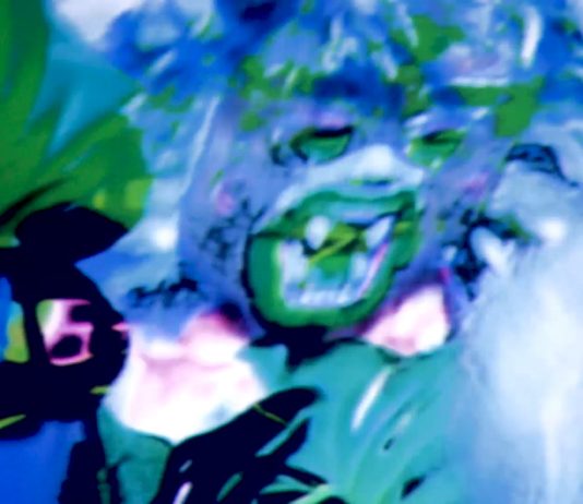 Botanical Wasteland op tournee