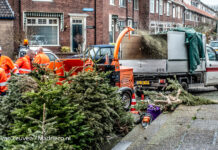Kerstbomenactie in Haarlem, Zandvoort en Bentveld