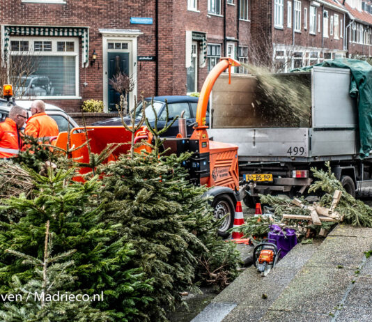 Kerstbomenactie Haarlem