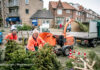 Kerstbomenactie in Haarlem, Spaarndam, Zandvoort en Bentveld