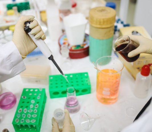 Nieuwe maatregelen tegen verspreiding coronavirus in Nederland Foto door Polina Tankilevitch via Pexels