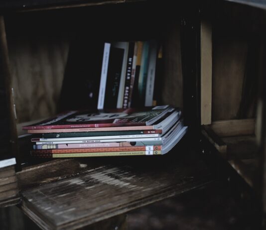 CityShapers en Present bouwen minibibliotheken in Haarlem en omgeving Photo by Ksenia Makagonova on Unsplash