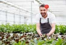 NL leert door: gratis ontwikkeladvies en scholingstrajecten voor Noord-Hollanders Ingezonden pr foto.