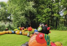 2turvenhoog in de duinen