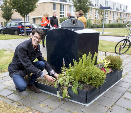 Haarlem start proef met containertuintjes Containertuintje. Fotografie: Chris Hoefsmit.