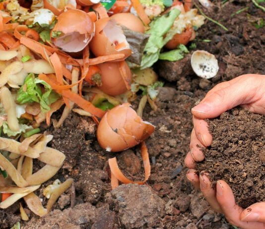 Gratis compost op Landelijke Compostdag Compost Ecology Waste Garden - melGreenFR / Pixabay