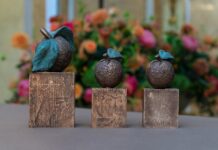 2 Noord-Hollandse projecten winnen Appeltjes van Oranje 2022 Foto Oranje Fonds.