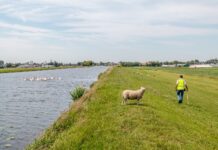 Na regen komt… droogte Kadeinspectie. Foto: Hoogheemraadschap van Rijnland.