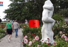 Kleurenexplosie op historisch Landgoed Keukenhof