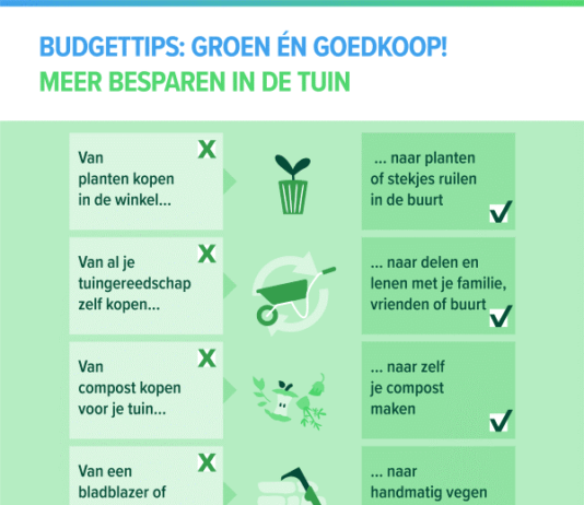 Budgettips: groen én goedkoop in de tuin