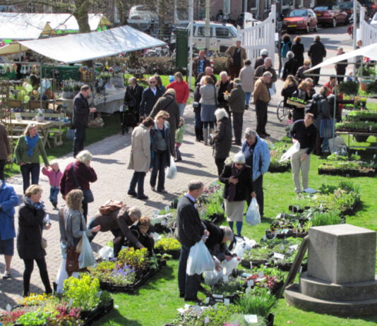 Bio Lente Markt