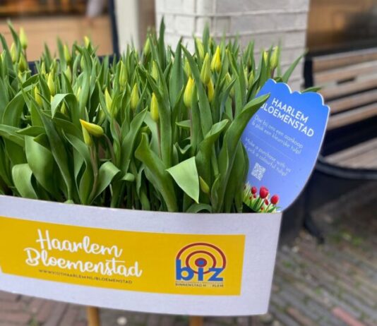 Bloemenstad Haarlem Activatie Binnenstad Tulpenpluktuinen in de straten van Haarlem jaargang 2022.