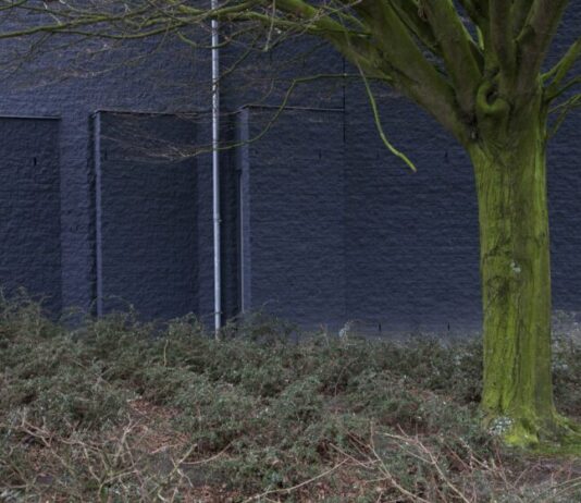Foto-expositie ‘Natural cause’ van Daan Ruijter Woensel city tree. Daan Ruijter Photography.