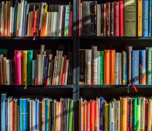 Literair Haarlem viert stadsverjaardag met boeken over de regionale rijke geschiedenis Image by LubosHouska from Pixabay