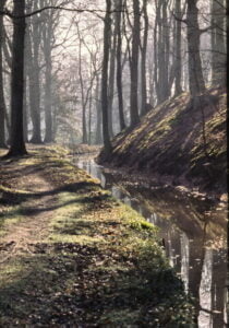 Leyduin beek. Fotografie: Chris van Deursen.