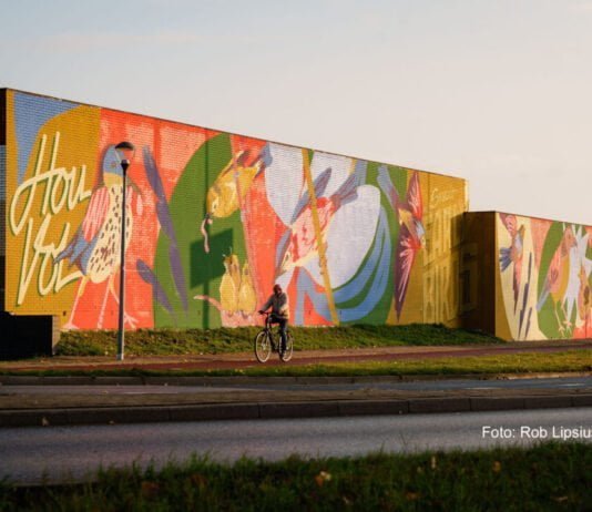 Street-art in Haarlem Noord Muurschildering Spaarndamse weg. Fotografie: Rob Lipsius.